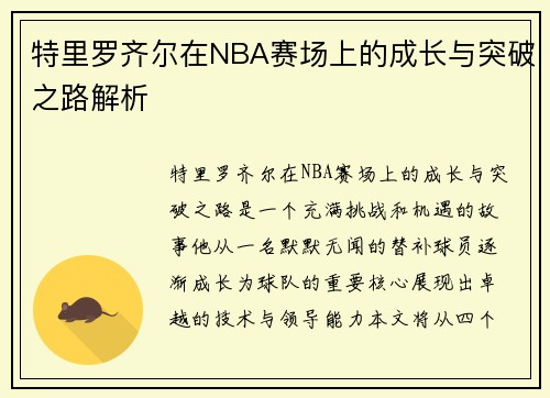 特里罗齐尔在NBA赛场上的成长与突破之路解析