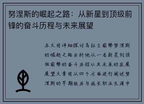 努涅斯的崛起之路：从新星到顶级前锋的奋斗历程与未来展望