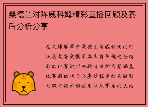 桑德兰对阵威科姆精彩直播回顾及赛后分析分享
