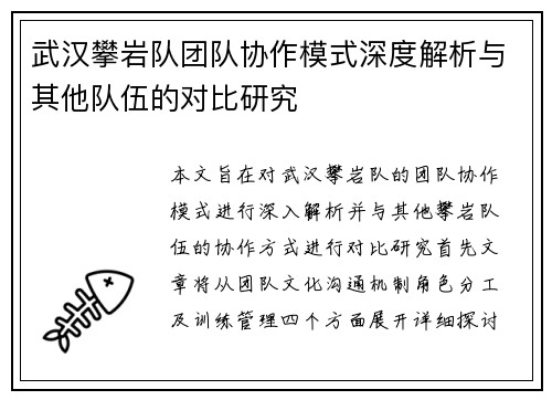 武汉攀岩队团队协作模式深度解析与其他队伍的对比研究