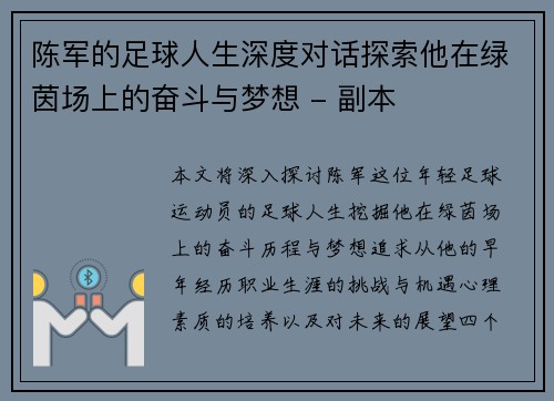 陈军的足球人生深度对话探索他在绿茵场上的奋斗与梦想 - 副本