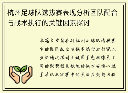杭州足球队选拔赛表现分析团队配合与战术执行的关键因素探讨